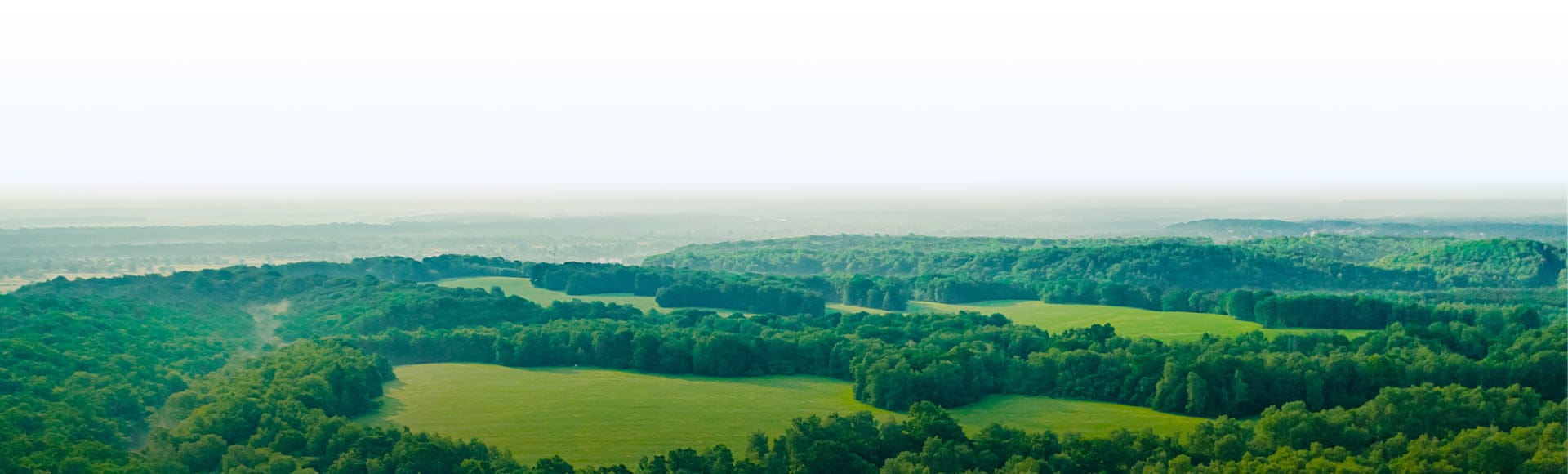 forrest-landscape-block-bottom