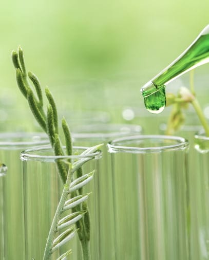 service-envionmental-compliance