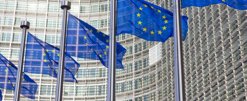 Untitled (1920 x 859 px) (975 x 398 px)